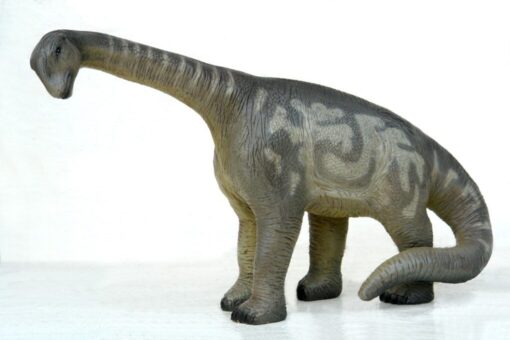 CAMARASAURUS 1FT JR 2412