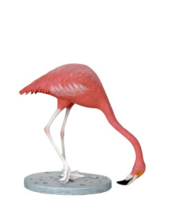 Flamingo - Head Down | JR 2924
