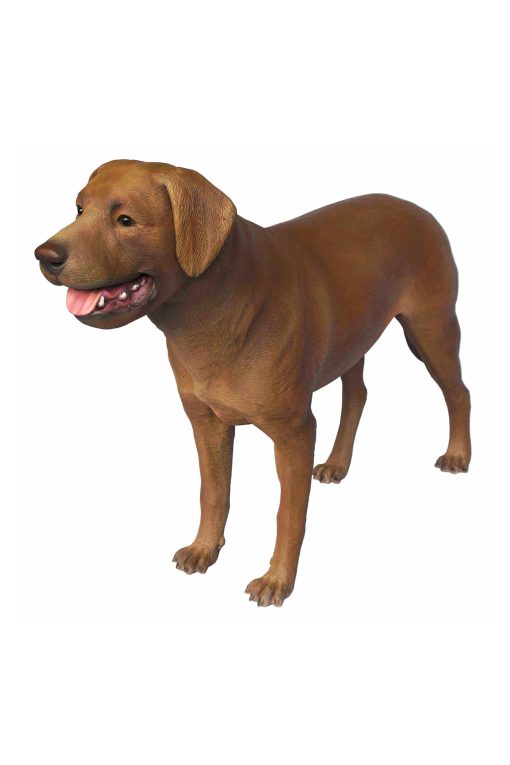 LABRADOR RETREIVER DOG 2 JR 2963