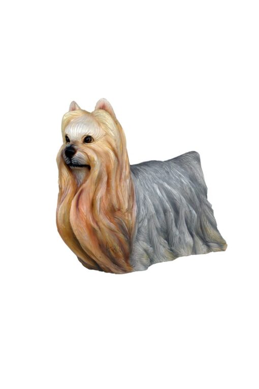 YORKSHIRE TERRIER DOG 1 JR 3024