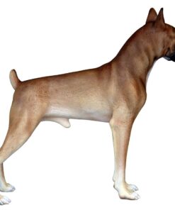 Boxer Dog | JR 2936