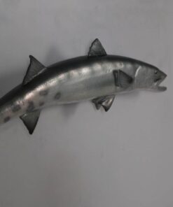 BARRACUDA JR 100077