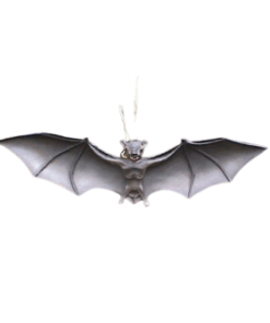Bat - Hanging | JR 1603