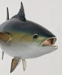 BLUEFIN TUNA JR 120054