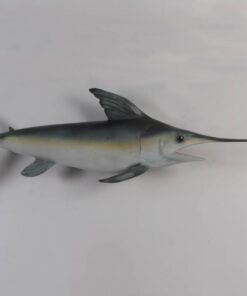 BROAD BILLED SWORDFISH JR 100075