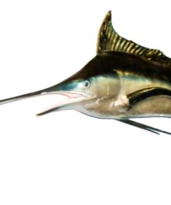 BLUE MARLIN JR 130078