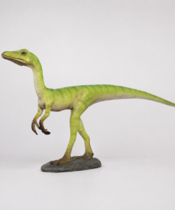 Compsognathus | JR 180119