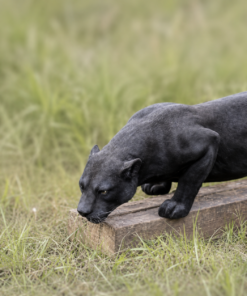 Black Panther | JR 090011