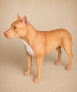 Pitbull Dog | JR 130009