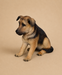 German Shepherd Puppy | JR 2956