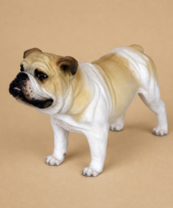 Bull Dog #1 | JR 2951