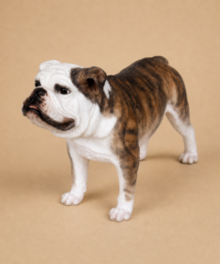 Bull Dog #3 | JR 2953