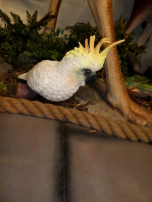 COCKATOO ON BRANCH WALL MOUNTED JR R-034 - Image 6