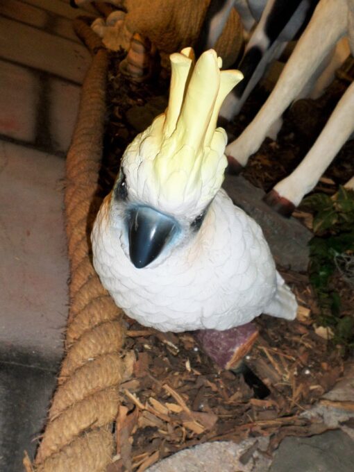 COCKATOO ON BRANCH WALL MOUNTED JR R-034 - Image 5