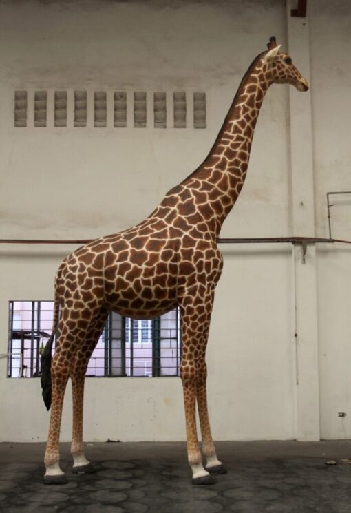 GIRAFFE 18FT JR 140039