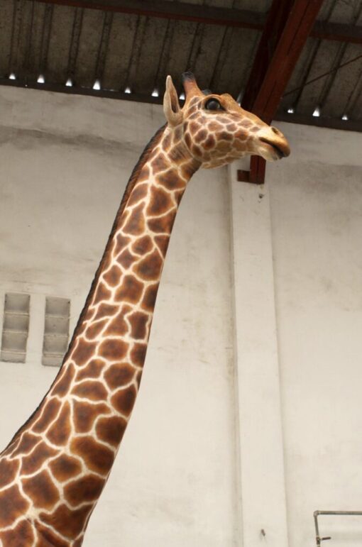 GIRAFFE 18FT JR 140039 - Image 2