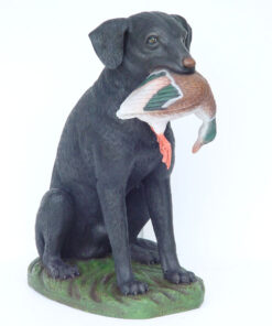 HUNTING DOG JR 2243 - BLACK