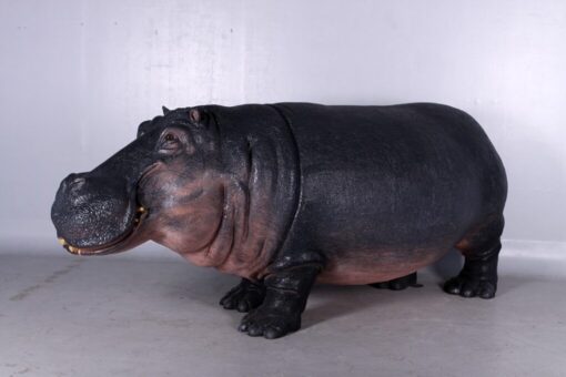 HIPPOPOTAMUS JR 140043