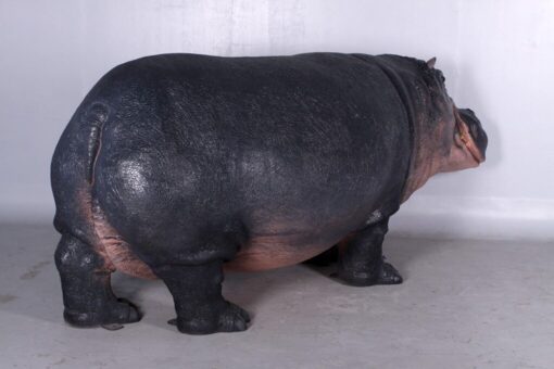 HIPPOPOTAMUS JR 140043 - Image 2