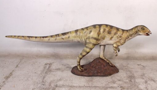 HYPSILOPHODONT JR 120008