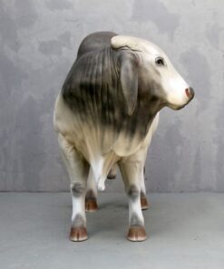Alternative view of Brahman Bull  | JR 3385