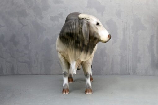 BRAHMAN BULL JR 3385 - Image 2