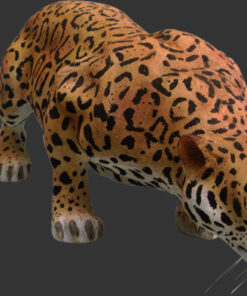 Alternative view of Jaguar | JR 080110
