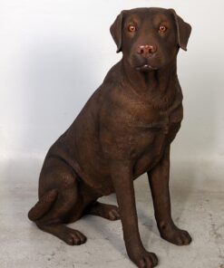Labrador Dog - Chocolate - Sitting | JR 110098