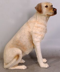 Labrador Dog - Yellow - Sitting | JR 110098