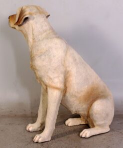 Alternative view of Labrador Dog - Yellow - Sitting | JR 110098