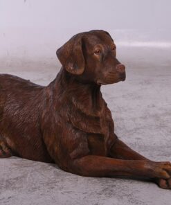 Labrador Dog - Chocolate - Lying Down | JR 150251