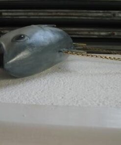 Alternative view of Tuna - Mouth Open | JR FSC1293OM