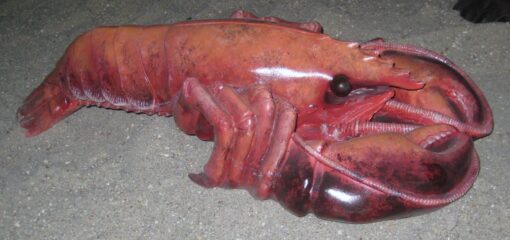 LOBSTER JR AFLOB - Image 3