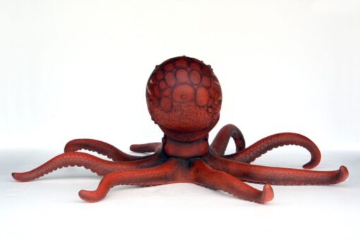 OCTOPUS JR 2547 - Image 2