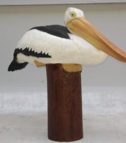 Alternative view of Pelican on Post | JR 080119