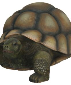 Turtle | JR R-026