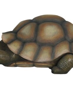 Alternative view of Turtle | JR R-026