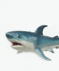 Shark | JR 2199