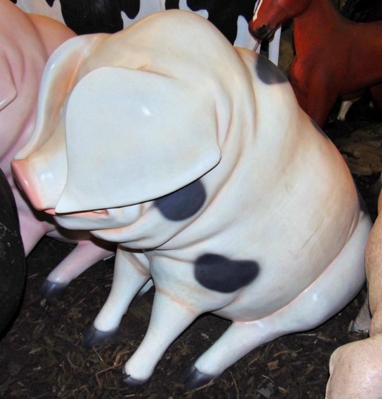Gloucester Old Spot Piglet 40inch - Sitting | JR 160260