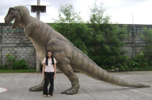 T REX JR 080126