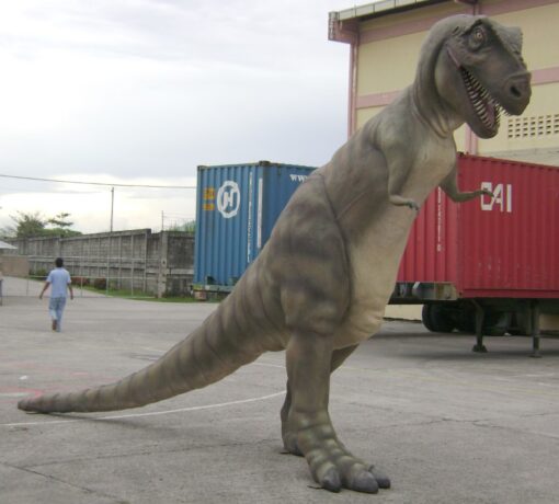 T REX JR 080126 - Image 2