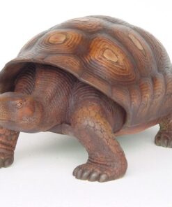 Turtle | JR 2194