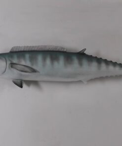 Alternative view of Wahoo | JR 100090