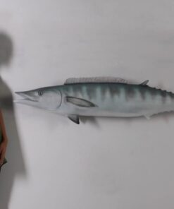 Wahoo | JR 100090