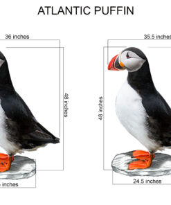 Atlantic Puffin 4ft | JR 220018