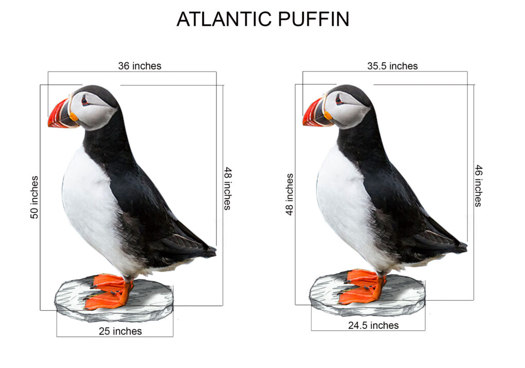 Atlantic Puffin 4ft | JR 220018