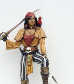 Alternative view of Lady Pirate and Treasure Chest | JR 2517