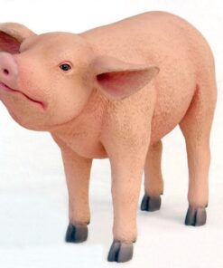 Pig | JR 2429