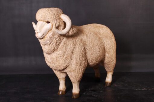 MERINO RAM JR 020503