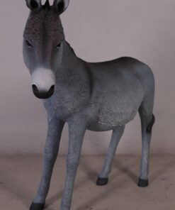 Alternative view of Donkey - Gray | JR 080044